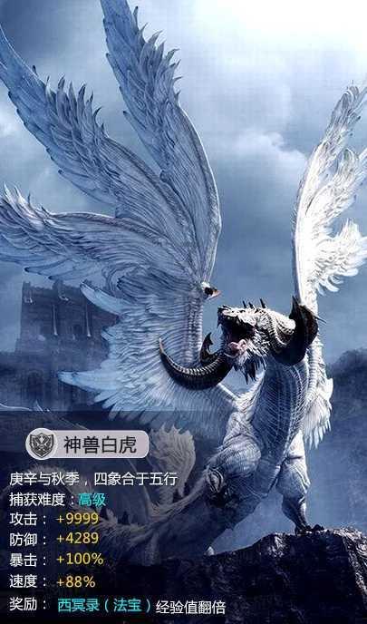 蓝狐视频